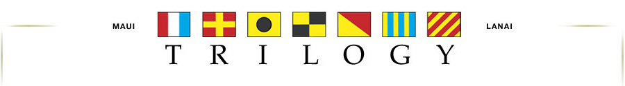 Trilogy logo