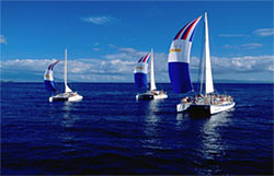 3 Trilogy Catamarans sailing to Lanai