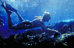 Man snorkeling Maui's tropical reefs