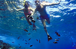 Father and daughter experiencing the best snorkeling in Maui