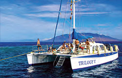 Catamaran loading passengers in Lahaina