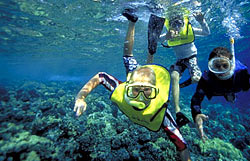 3 boys snorkeling at Molokini