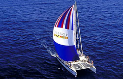 Molokini charter
