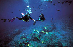 Molokini scuba divers