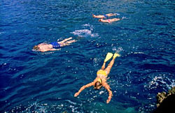 Lanai snorkel exploration